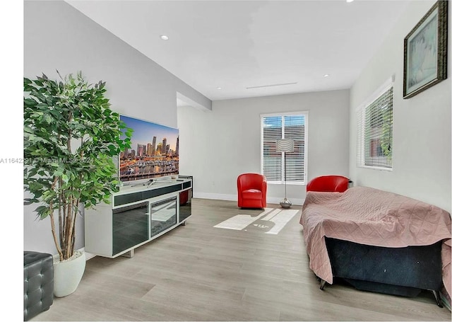 living room featuring hardwood / wood-style flooring