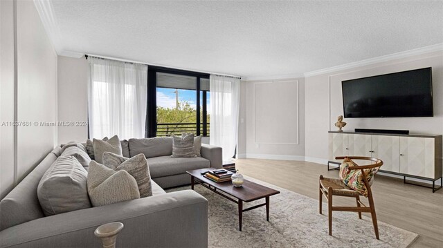 living room featuring crown molding, light hardwood / wood-style flooring, and a textured ceiling