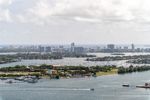 bird's eye view with a water view