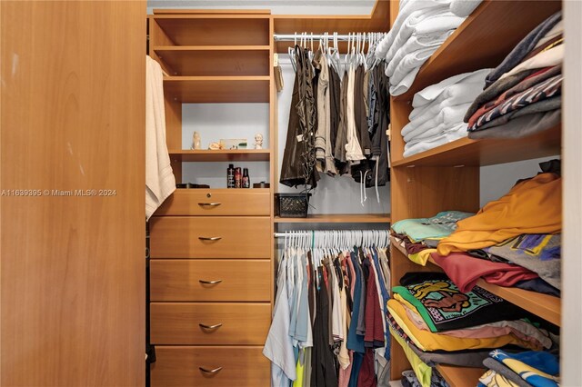 view of walk in closet