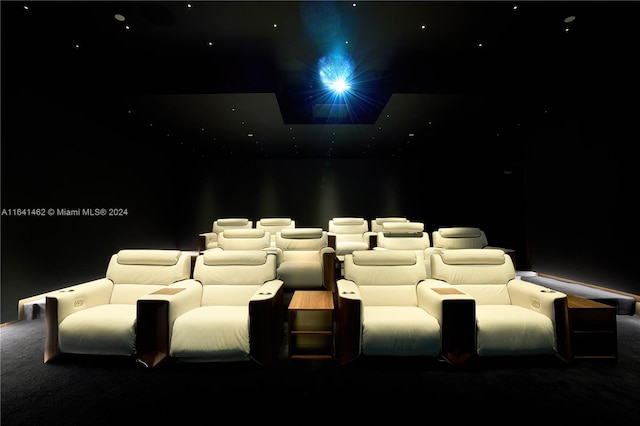 home theater room with carpet