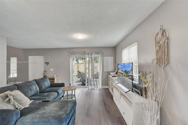 living room with a textured ceiling and hardwood / wood-style flooring