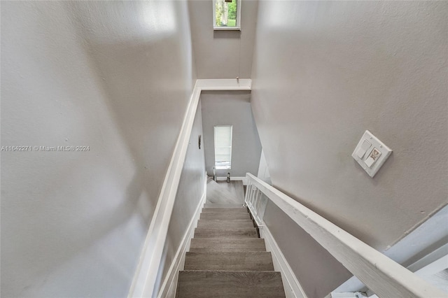 stairs with hardwood / wood-style floors