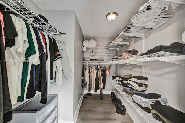 walk in closet with wood-type flooring