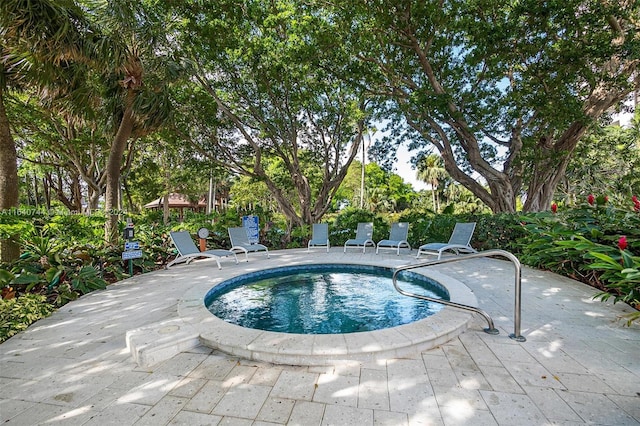 view of pool featuring a patio area