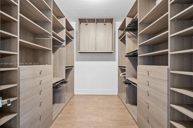 spacious closet featuring light wood-type flooring