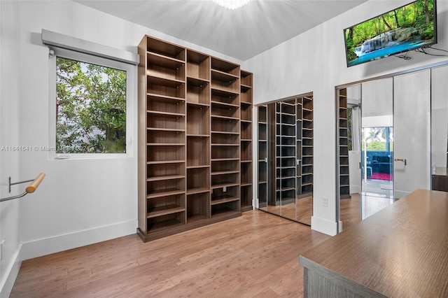 walk in closet with hardwood / wood-style floors