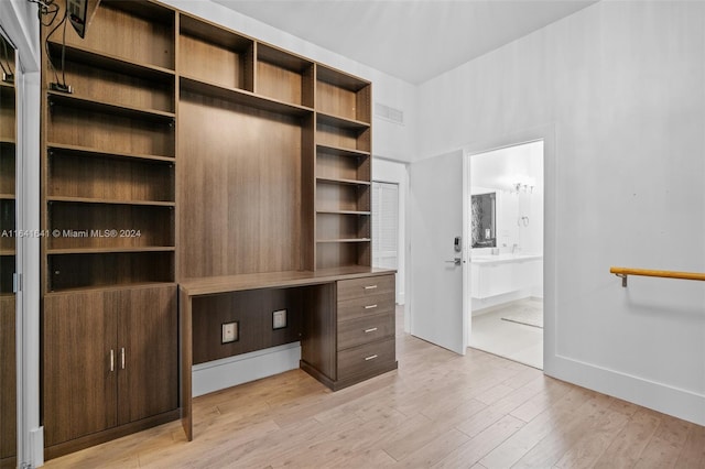 spacious closet with light wood-type flooring