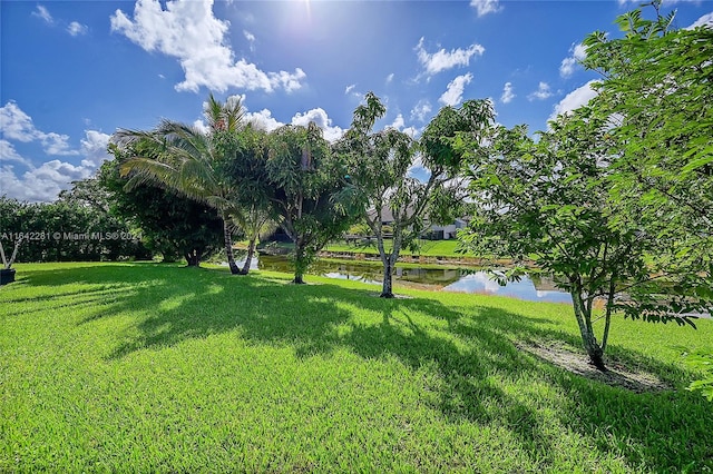 view of yard with a water view