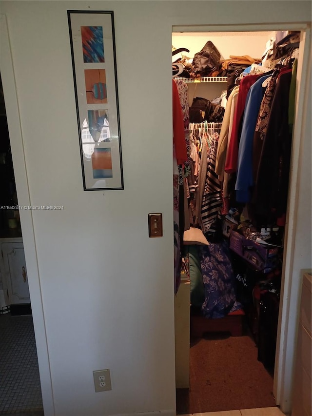 walk in closet with carpet flooring