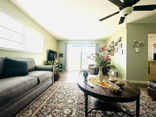 living room with ceiling fan and hardwood / wood-style flooring