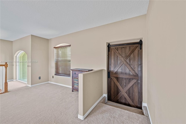 interior space featuring carpet floors and a textured ceiling