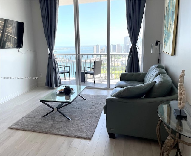 living room with light wood-type flooring and a water view