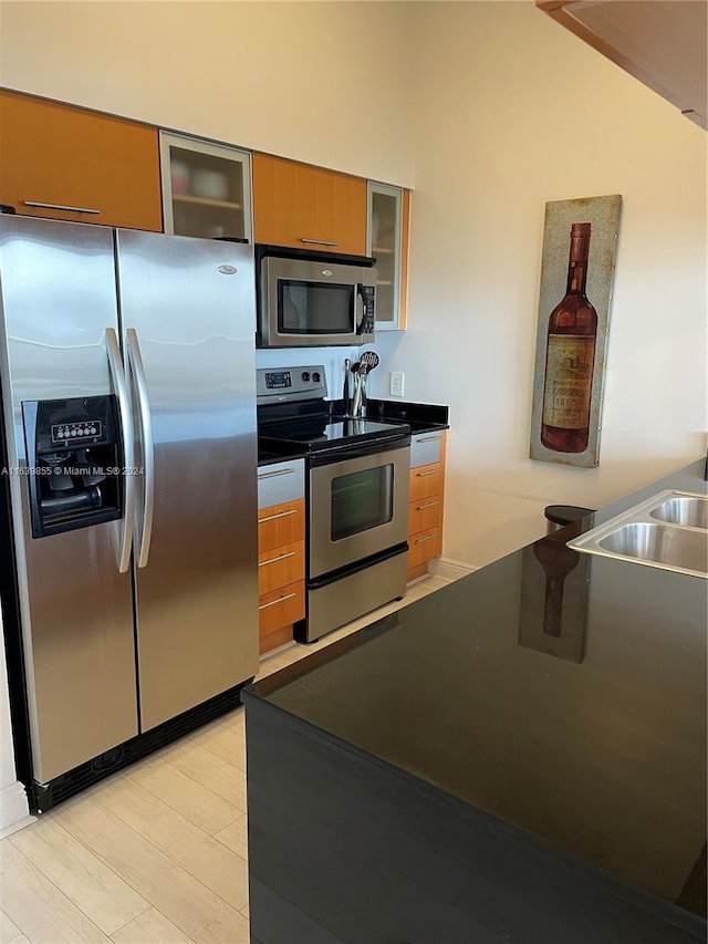 kitchen featuring light hardwood / wood-style flooring and stainless steel appliances