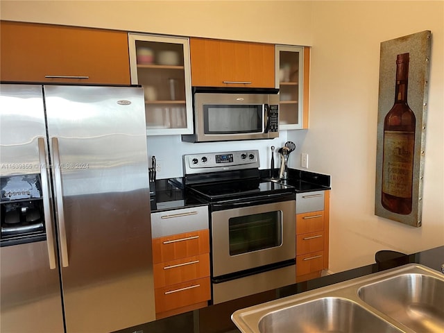 kitchen featuring appliances with stainless steel finishes and sink