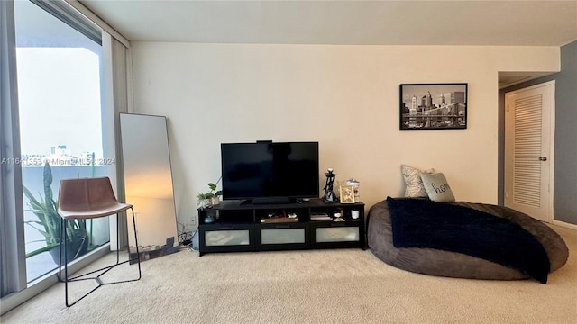 living room with carpet floors