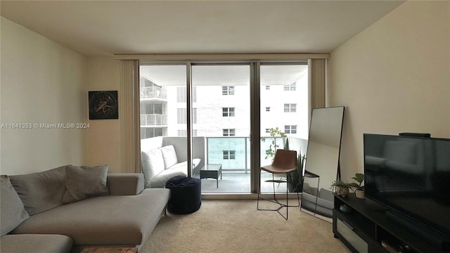 living room featuring carpet