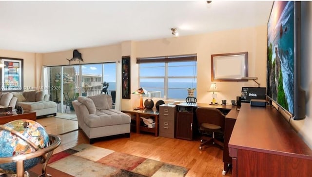 office space featuring light hardwood / wood-style floors