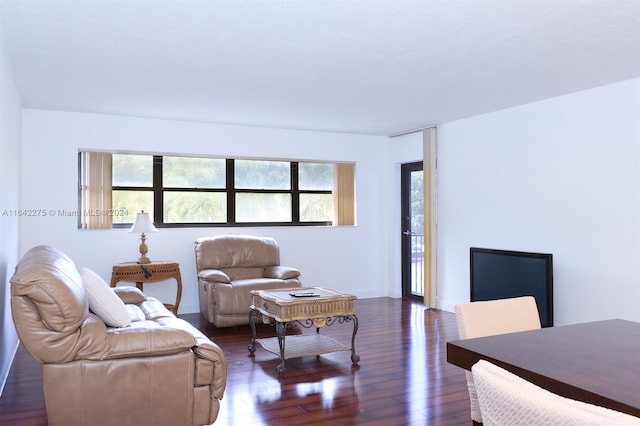 living room with a wealth of natural light and dark hardwood / wood-style floors