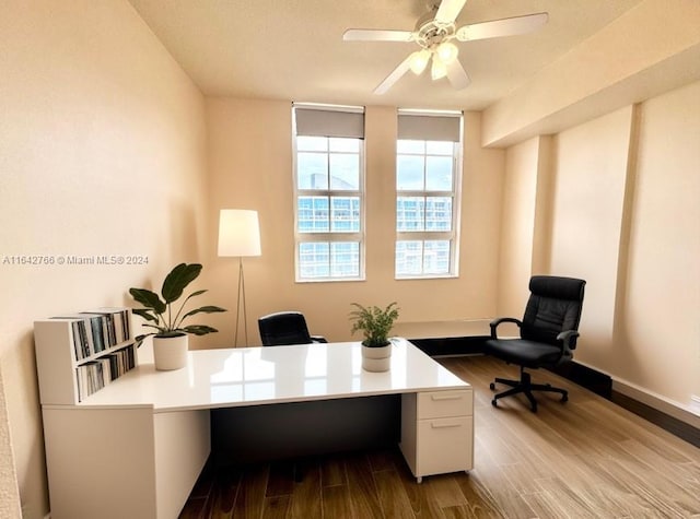 office featuring ceiling fan and hardwood / wood-style floors