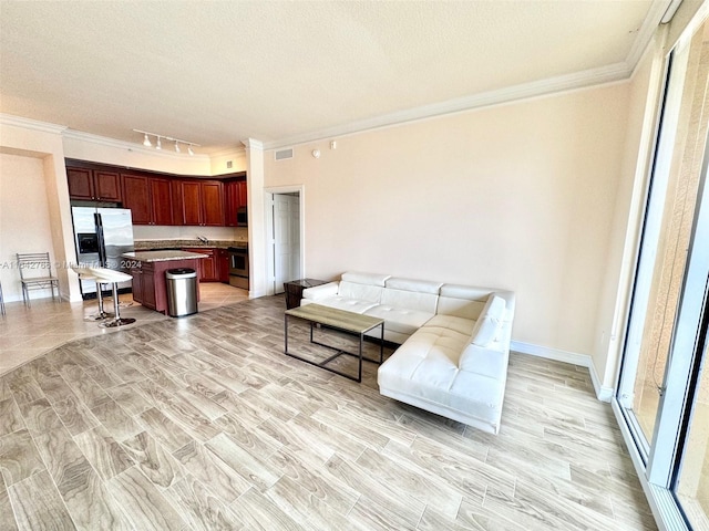 living room featuring track lighting, ornamental molding, a textured ceiling, and light wood-type flooring