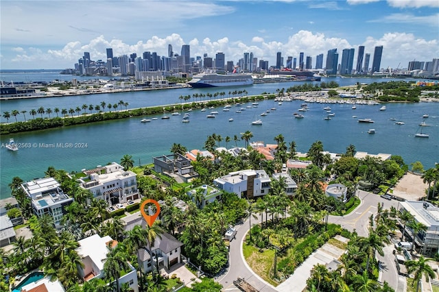 drone / aerial view with a water view