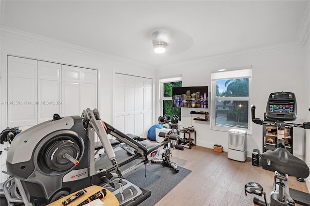 exercise area with light wood-type flooring, crown molding, and baseboards