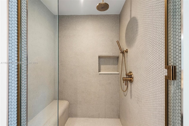 bathroom with a shower