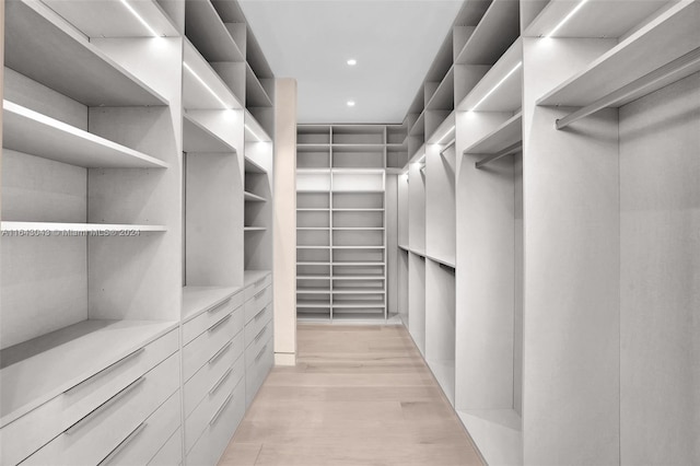 spacious closet featuring light hardwood / wood-style flooring