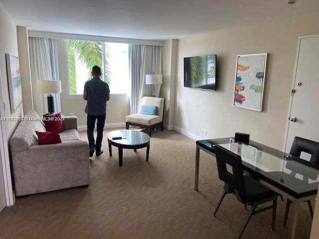 living room featuring carpet floors