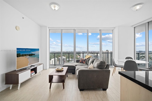 living room featuring light hardwood / wood-style floors and expansive windows