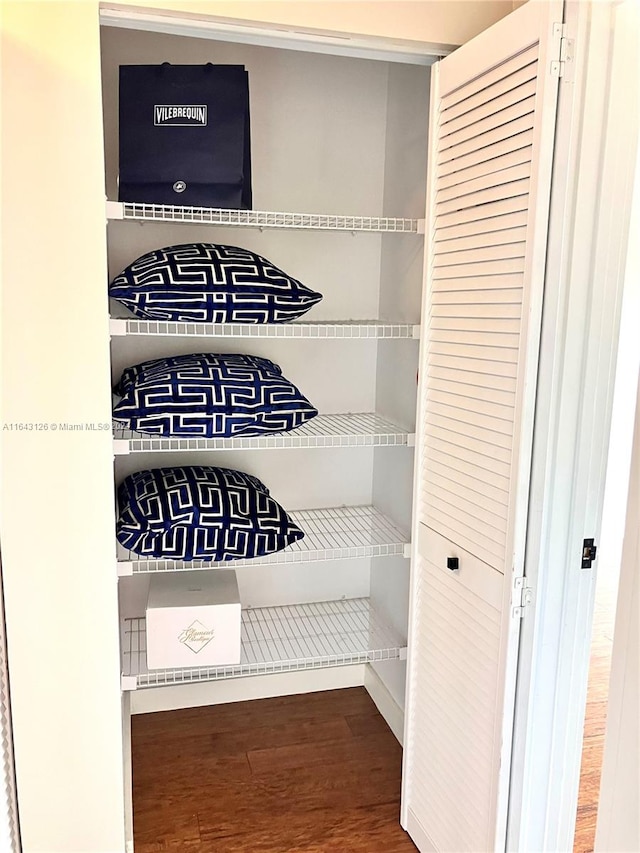 view of closet