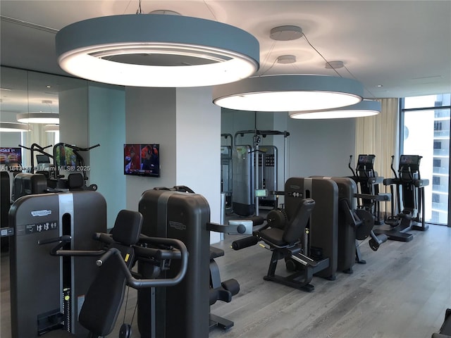 gym with hardwood / wood-style flooring and expansive windows