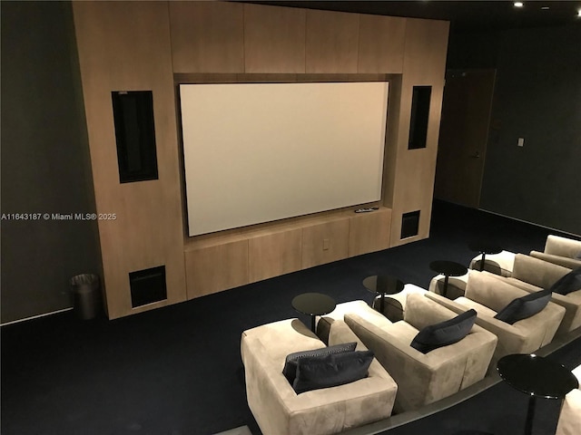 view of home theater room