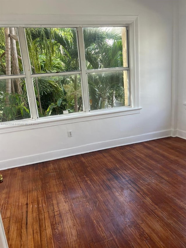 empty room with a wealth of natural light and wood-type flooring