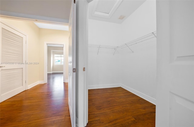 spacious closet featuring dark hardwood / wood-style floors