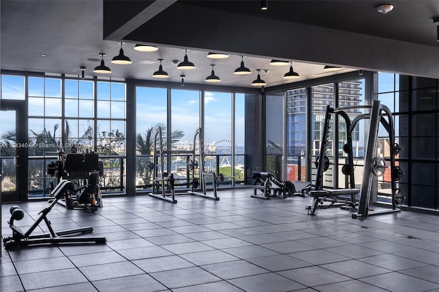 workout area featuring expansive windows and a wealth of natural light