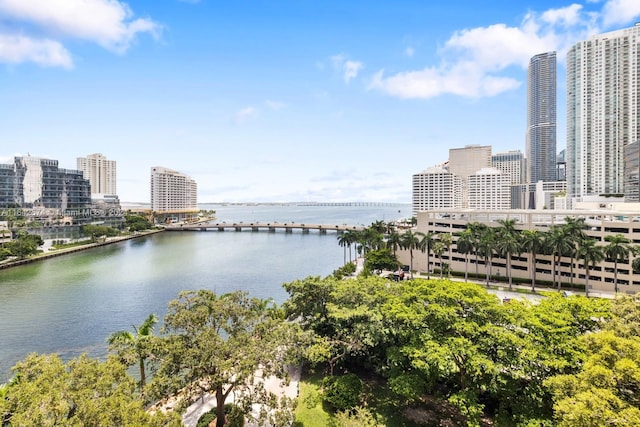 view of water feature with a city view