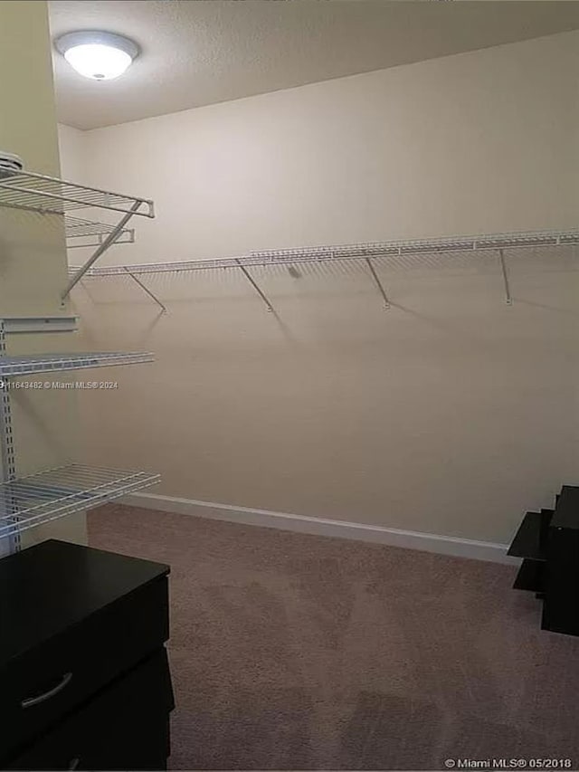 spacious closet with carpet