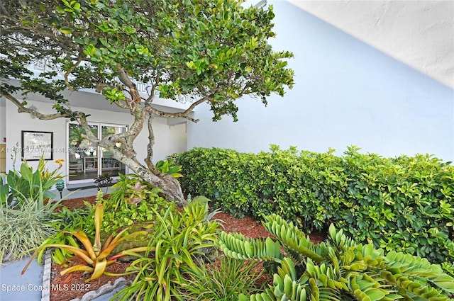 view of home's exterior with stucco siding