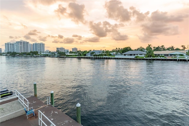 dock area with a water view