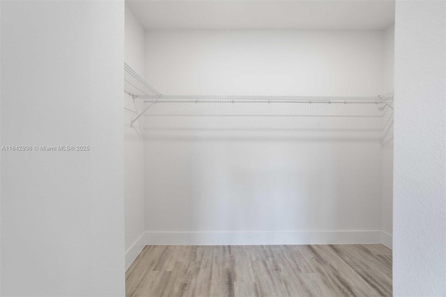 spacious closet with light hardwood / wood-style floors