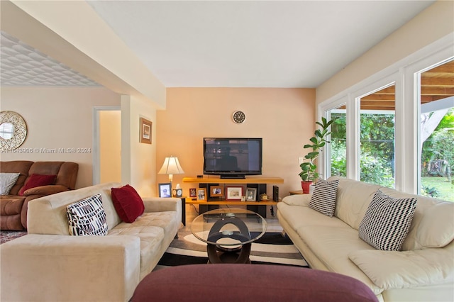 living room featuring wood-type flooring