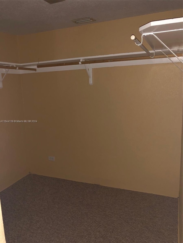 walk in closet with carpet