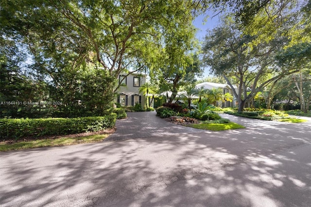 view of front of property with decorative driveway