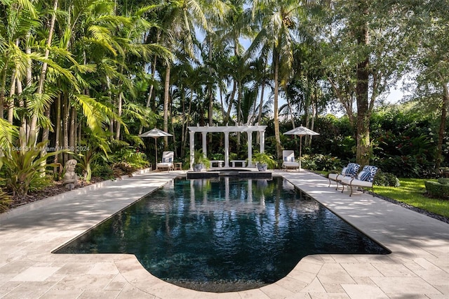 view of property's community featuring a patio, a pool, and a pergola