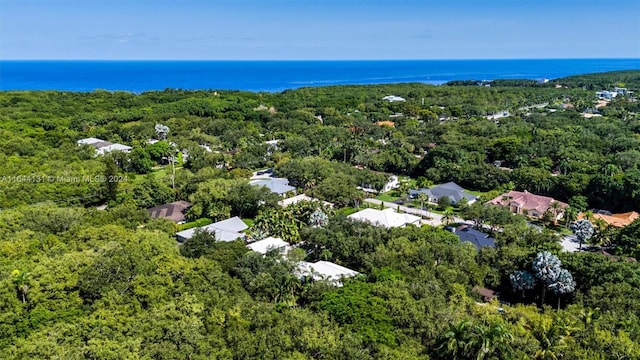 aerial view with a water view and a view of trees