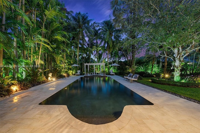 pool at dusk featuring a patio area and an outdoor pool