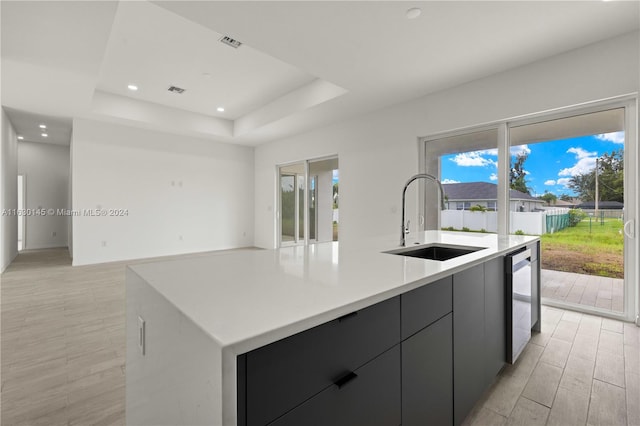 kitchen with sink, a tray ceiling, a kitchen island with sink, and light hardwood / wood-style floors