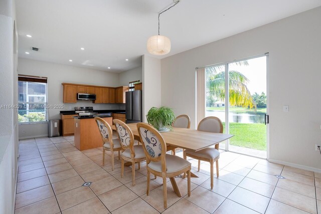 tiled dining room featuring plenty of natural light